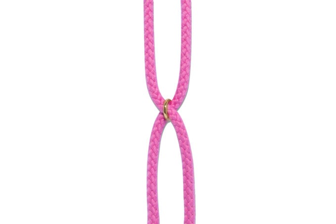 Uchronia x Duvelleroy cordon rose